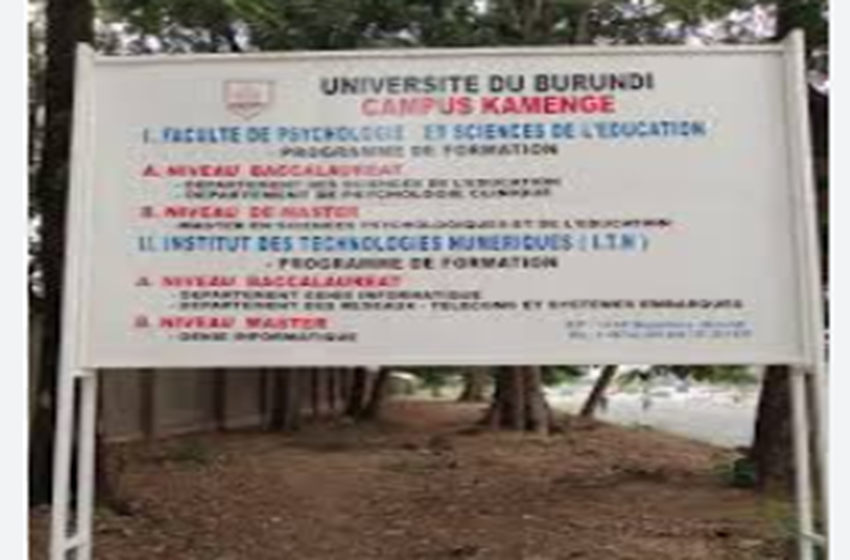 Six mois de retard et coupure de prêt bourse : le calvaire des étudiants en psychologie